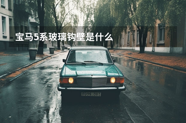 宝马5系玻璃钩壁是什么