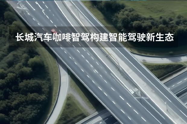 长城汽车咖啡智驾构建智能驾驶新生态 长城炮茶王版正式上市