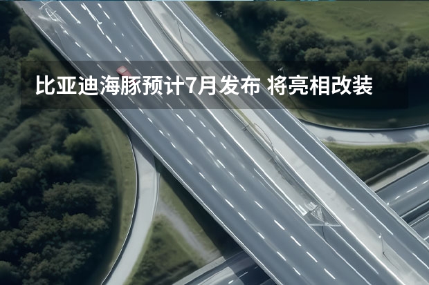 比亚迪海豚预计7月发布 将亮相改装嘉年华