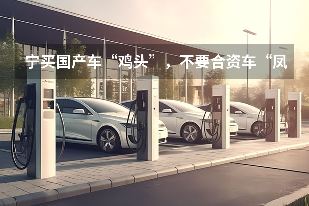 宁买国产车“鸡头”，不要合资车“凤尾”（国产车加配合资车减配，一样）