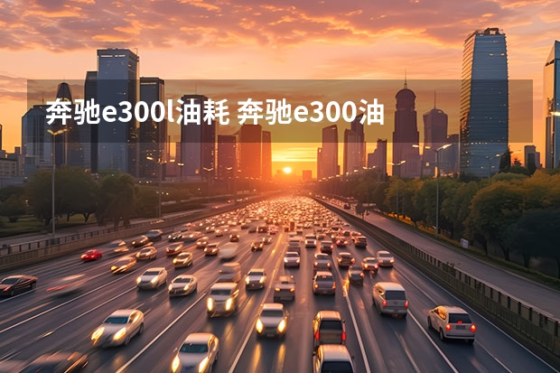 奔驰e300l油耗 奔驰e300油耗