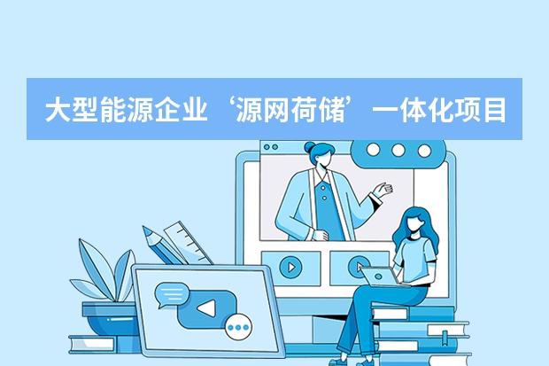 大型能源企业&lsquo;源网荷储&rsquo;一体化项目精益化运营与资产收益最大化方法