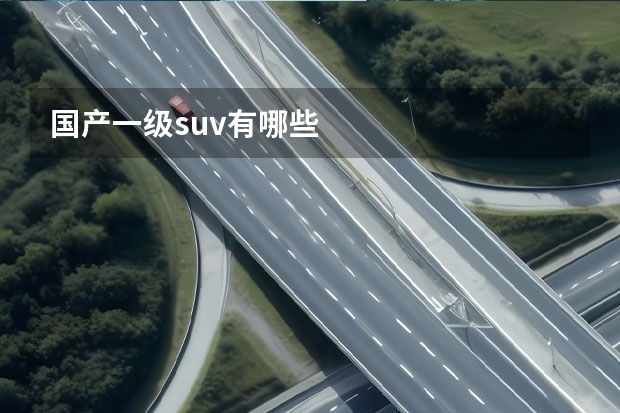 国产一级suv有哪些