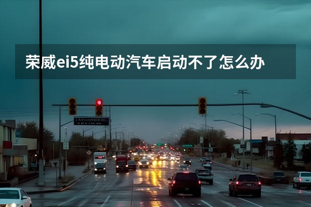 荣威ei5纯电动汽车启动不了怎么办?