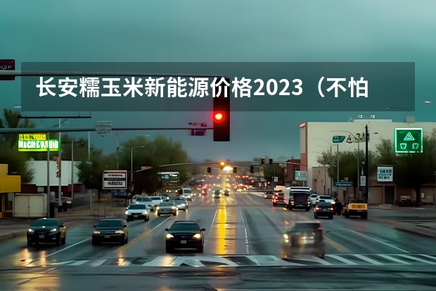 长安糯玉米新能源价格2023（不怕换电池贵！20万内选这些混动 一箱油轻松1000km）