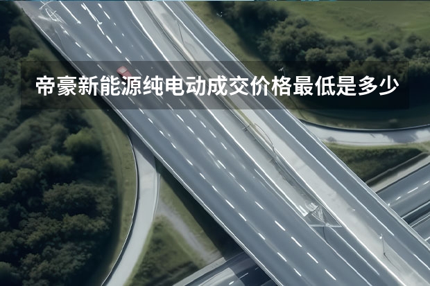 帝豪新能源纯电动成交价格最低是多少钱？