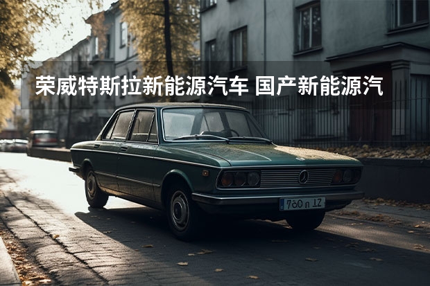 荣威特斯拉新能源汽车 国产新能源汽车排名前十名
