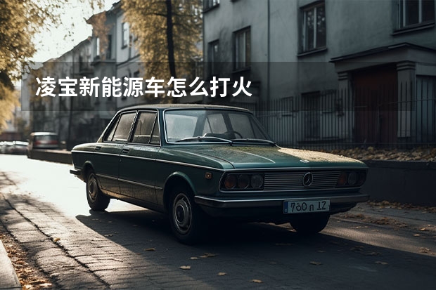 凌宝新能源车怎么打火