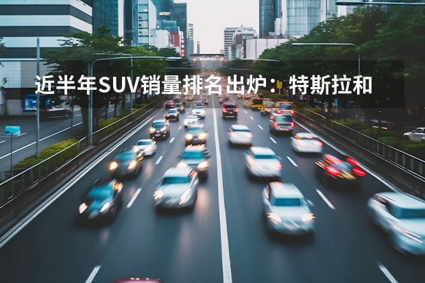 近半年SUV销量排名出炉：特斯拉和比亚迪成最大赢家（国产suv排行榜前十名（看车网））
