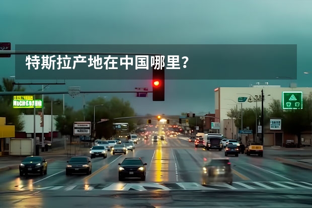 特斯拉产地在中国哪里？