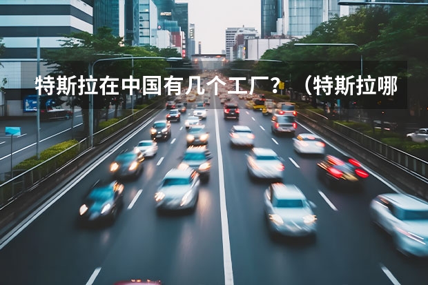特斯拉在中国有几个工厂？（特斯拉哪款车性价比最高）