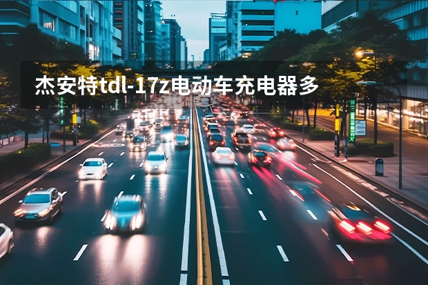 杰安特tdl-17z电动车充电器多少伏的
