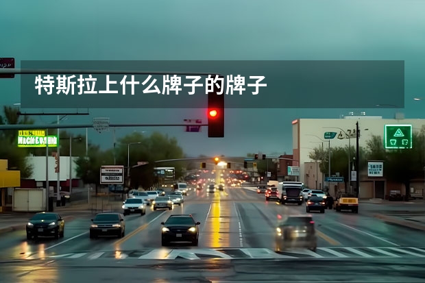 特斯拉上什么牌子的牌子
