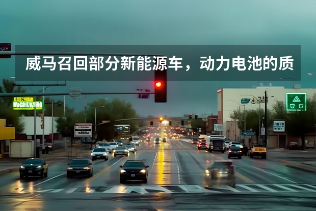 威马召回部分新能源车，动力电池的质量标准是否应该加强？ 威马汽车接连自燃，冲刺IPO蒙阴影