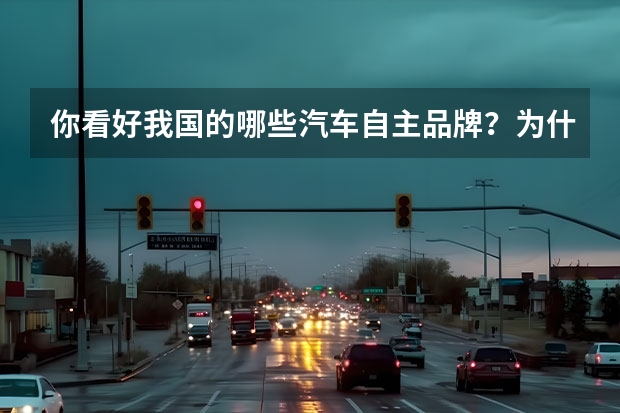 你看好我国的哪些汽车自主品牌？为什么？
