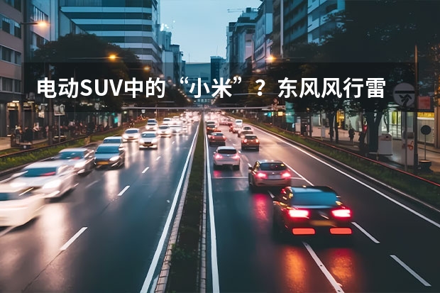 电动SUV中的“小米”？东风风行雷霆正式发布 新能源竞争白热化，风行雷霆的市场机会在哪？