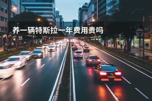 养一辆特斯拉一年费用贵吗