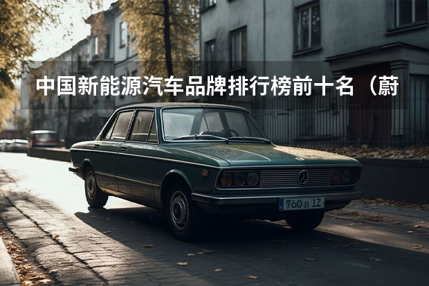 中国新能源汽车品牌排行榜前十名（蔚来CEO回复：未来电动汽车将超越特斯拉，国内厂家真这么牛？）