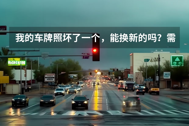 我的车牌照坏了一个，能换新的吗？需要怎么办理阿，请指点！