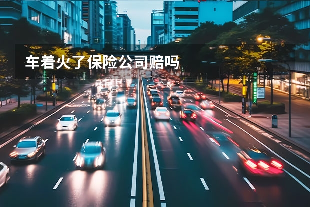 车着火了保险公司赔吗