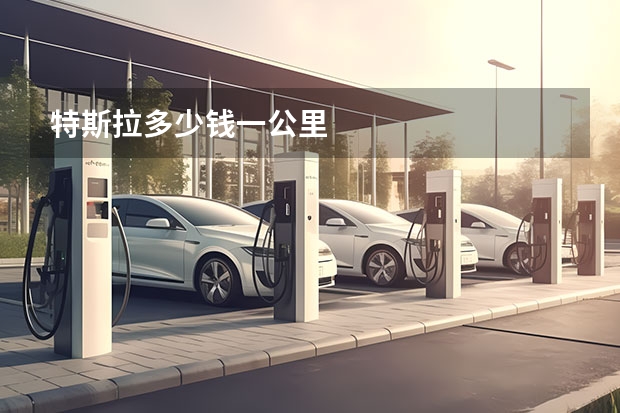 特斯拉多少钱一公里