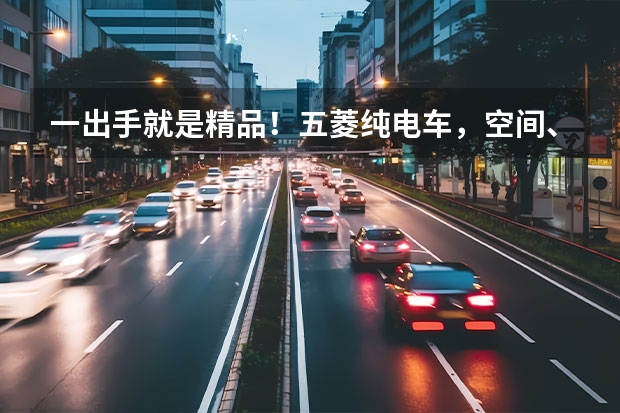 一出手就是精品！五菱纯电车，空间、安全都不缺，5.98万 5.98万起，空间超大，好看还好开，五菱缤果正式上市