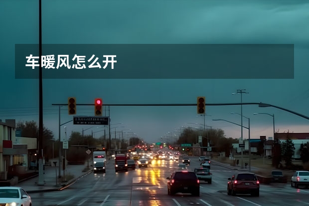 车暖风怎么开