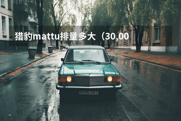 猎豹mattu排量多大（30,000元以下二手四驱猎豹详细分析）