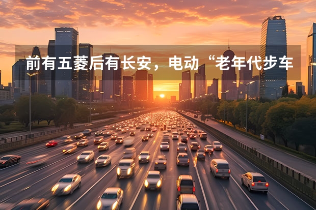 前有五菱后有长安，电动“老年代步车”为什么会这么火？