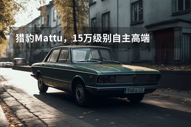 猎豹Mattu，15万级别自主高端SUV，车展实拍！（长丰猎豹飞腾的飞腾的外形时尚）