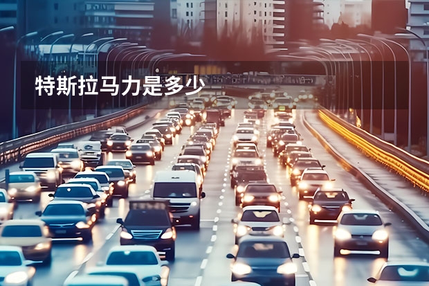 特斯拉马力是多少