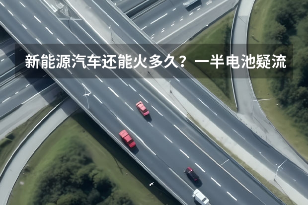 新能源汽车还能火多久？一半电池疑流入黑市，曹德旺称有人吃补贴