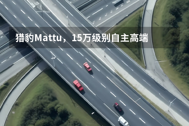 猎豹Mattu，15万级别自主高端SUV，车展实拍！ 实拍猎豹汽车-猎豹CS9 1.5T，移动互联个性化SUV！