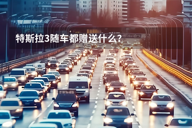 特斯拉3随车都赠送什么？