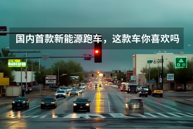 国内首款新能源跑车，这款车你喜欢吗？
