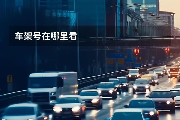 车架号在哪里看