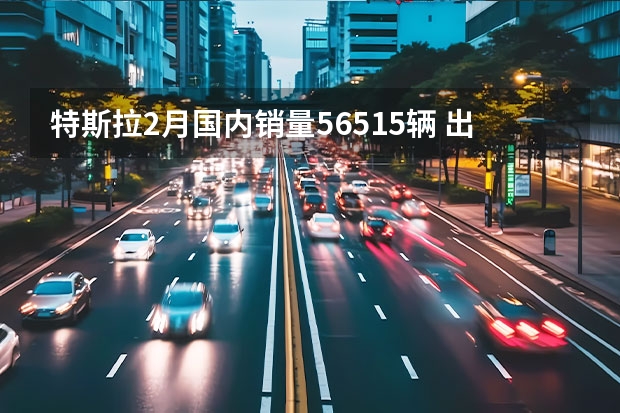 特斯拉2月国内销量56515辆 出口33315辆 德国1-2月纯电动汽车销量排行