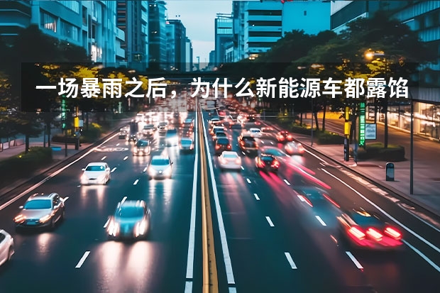 一场暴雨之后，为什么新能源车都露馅了？