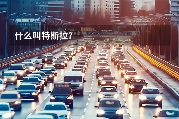 什么叫特斯拉？