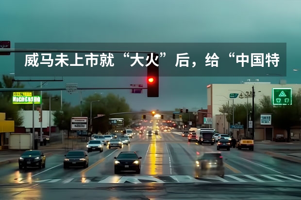 威马未上市就“大火”后，给“中国特斯拉”们的冷思考（不放弃治疗，威马汽车还有救？投资人“排队”入场）