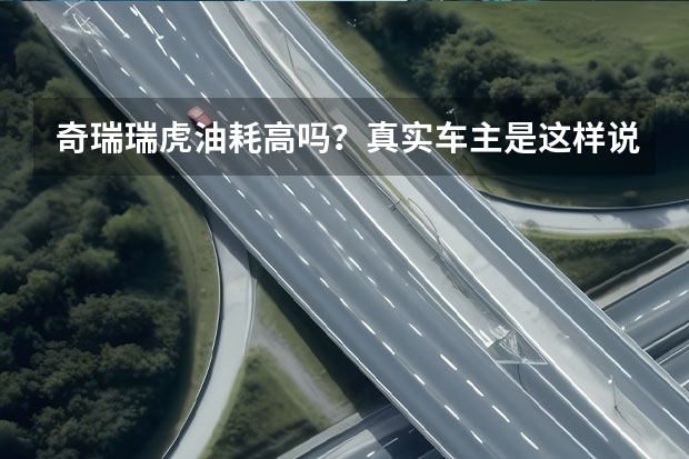奇瑞瑞虎油耗高吗？真实车主是这样说的