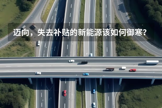 迈向，失去补贴的新能源该如何御寒？