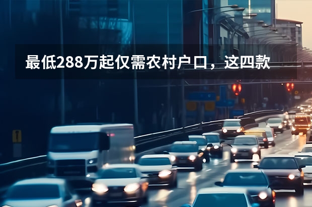 最低2.88万起仅需农村户口，这四款车型享新能源下乡（补贴） 纯电动汽车十大名牌排名及价格