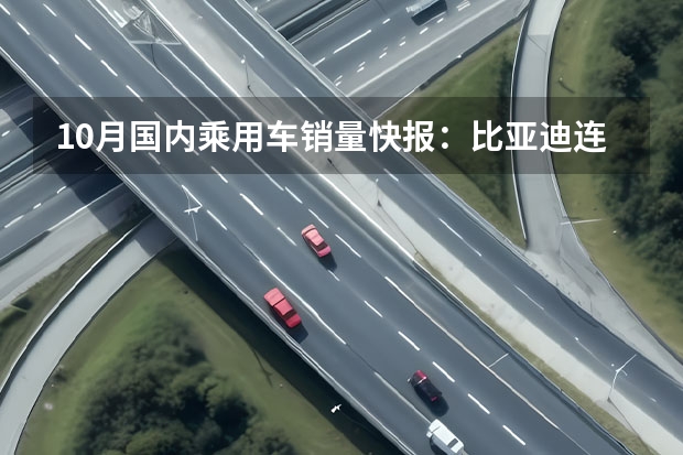 10月国内乘用车销量快报：比亚迪连续两个月突破20万辆 免费选装/汉EV车主率先体验
