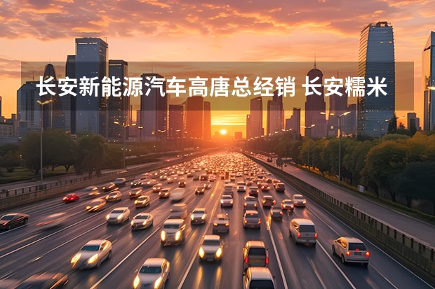 长安新能源汽车高唐总经销 长安糯米电动汽车价格