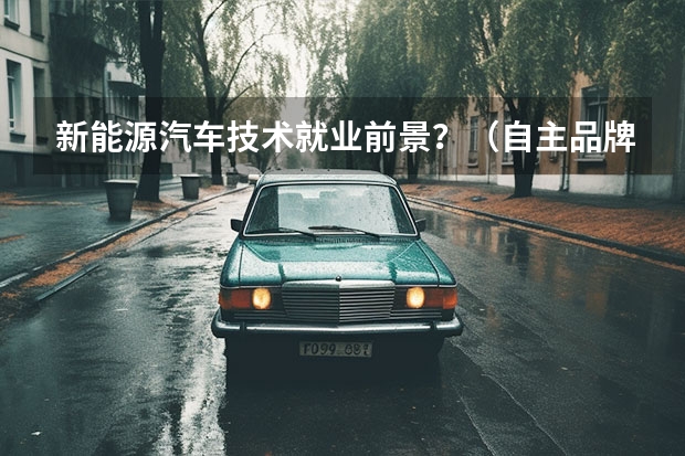 新能源汽车技术就业前景？（自主品牌11月销量TOP 3出炉：长安雄起，吉利“一哥地位”不保？）