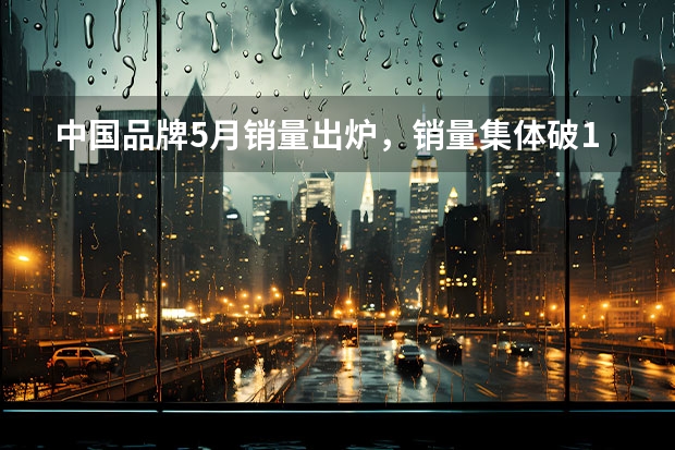 中国品牌5月销量出炉，销量集体破10万辆，压力给到合资车 小蚂蚁销量疲软，奇瑞新能源发展遭遇瓶颈，45万辆目标难了