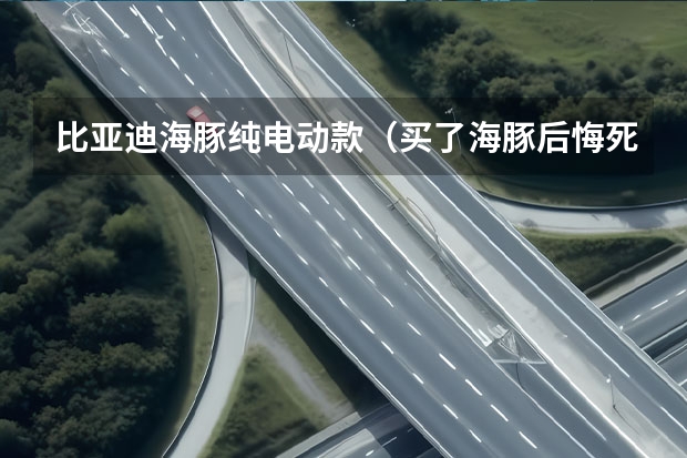 比亚迪海豚纯电动款（买了海豚后悔死了）（3月新能源轿车销量榜：海豚第2，汉第6，猜猜谁第一？）