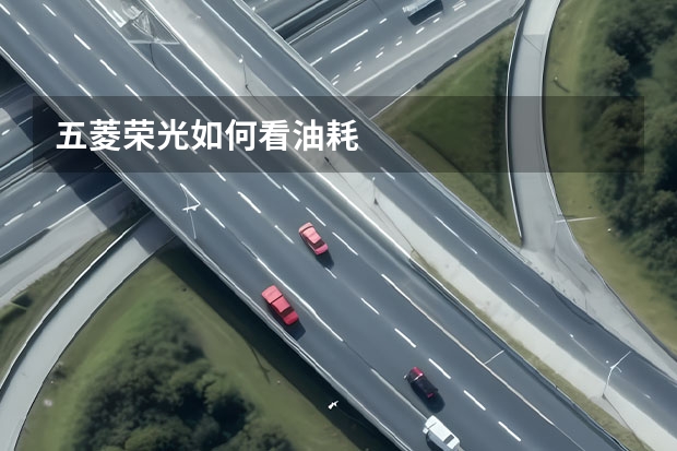 五菱荣光如何看油耗