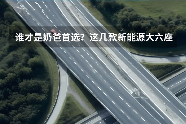 谁才是奶爸首选？这几款新能源大六座SUV值得放入购物车（长安新能源em60后车门宽度）